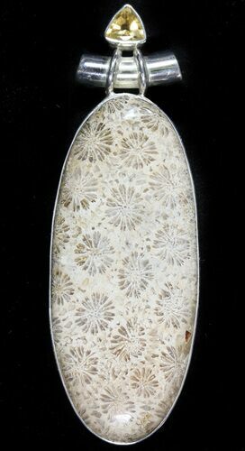 Million Year Old Fossil Coral Pendant - Sterling Silver #48501